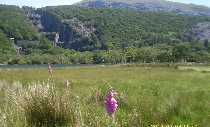 Lake side walk to Padarn Country Park and National Slate Museum.